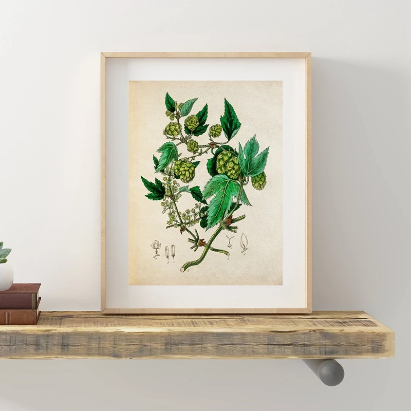 Vintage Beer Patent Poster Beer Brewing Prints Beer Processing  Hop Botanical Art Pictures Canvas Painting Bar Pub Wall Decor