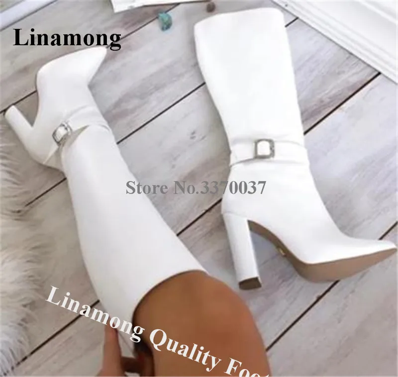 Linamong Elegant Pointed Toe Chunky Heel Knee High Boots White Black Brown Matte Leather Thick Heel Long Boots Party Dress Shoes