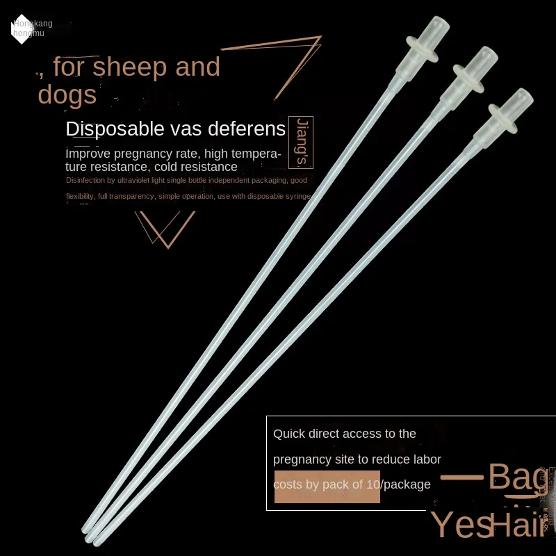 

Disposable vas deferens for dogs and sheep disposable vas deferens for dogs disposable vas deferens for pets vas deferens gun