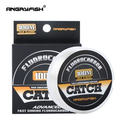 Angryfish 100% Fluorocarbon Fishing Line  100m Transparent Carbon Monofilament Line  Super Strong