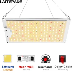 LED 성장 조명 삼성 LM301B + Mean Well 2000W 4000W 6000W 양자 햇빛 같은 풀 스펙트럼 식물 램프, 성장 텐트 식물 성장