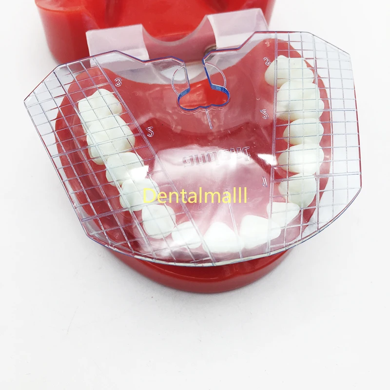 Dental lab tools dental guide plate teeth arrangement on denture work