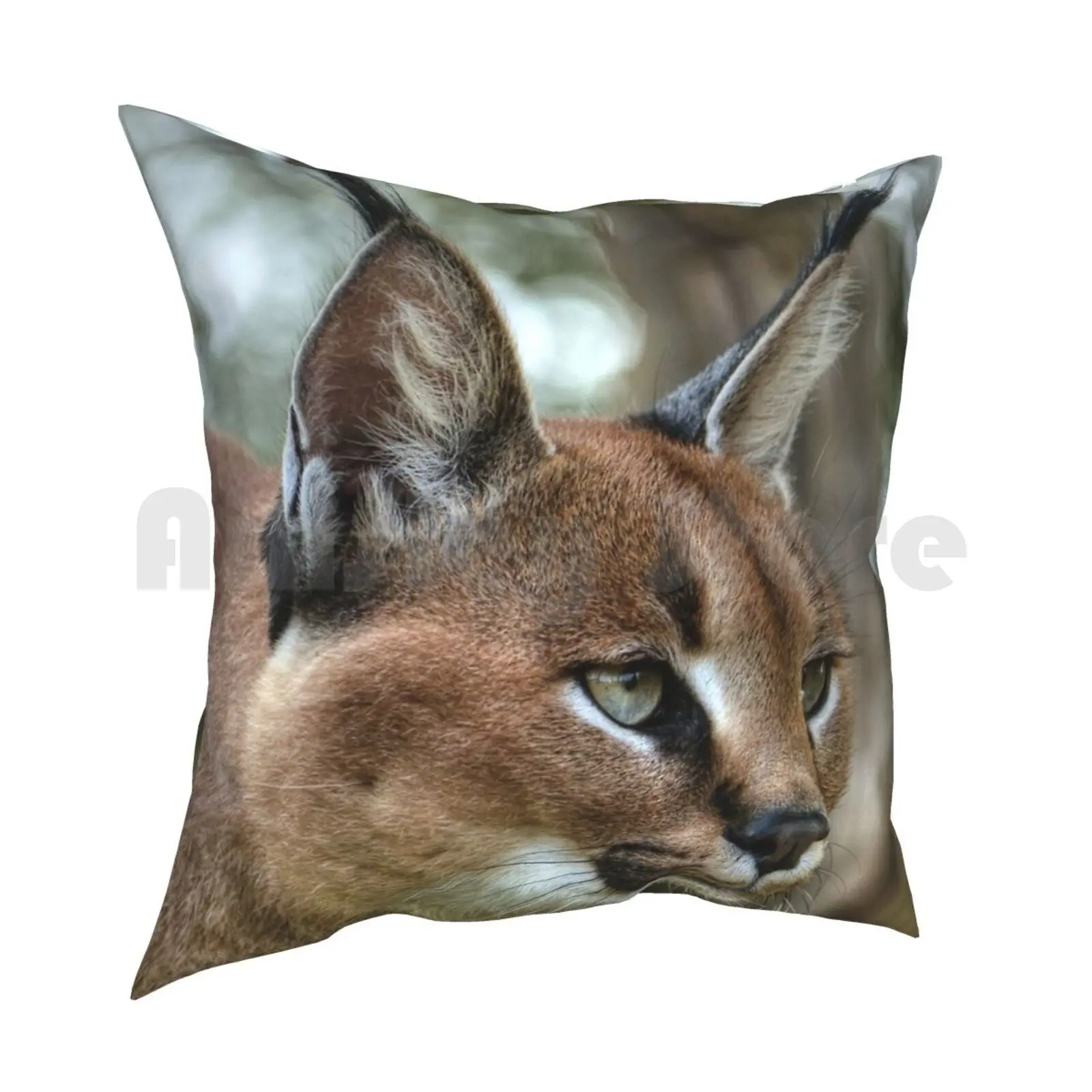 Caracal ( Colour Version ) Pillow Case Printed Home Soft Throw Pillow Caracal Cats Animals Wildlife Heritage Foundation