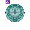 20 hole