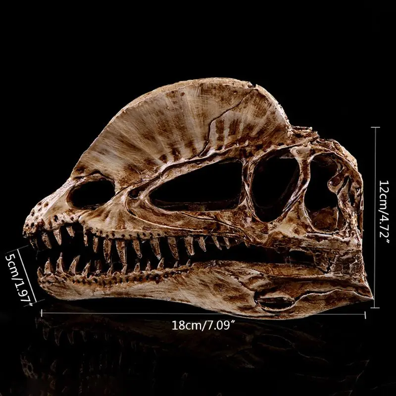 Dilophosaurus Dinosaur Skull Resin Crafts Fossil Skeleton Teaching Model Halloween Home Office Decoration