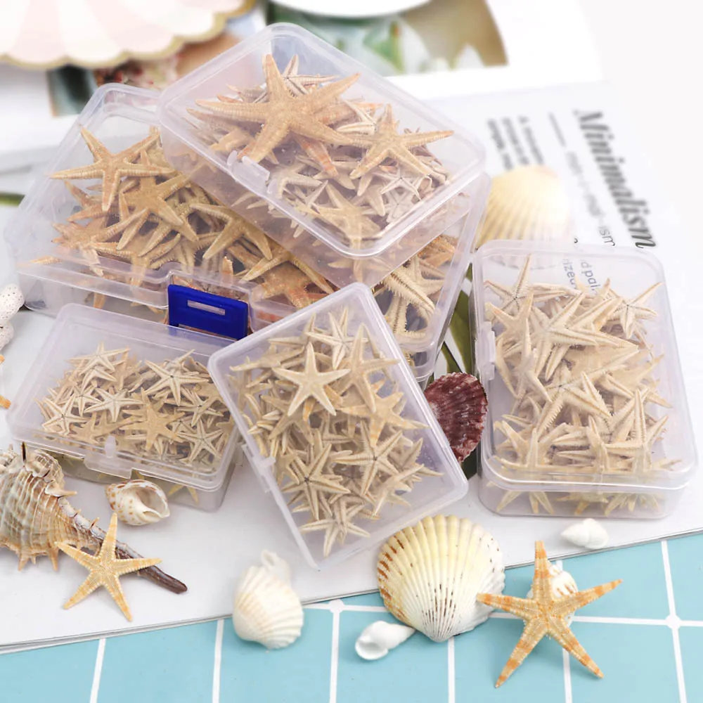 20PCS 1 Box Natural Starfish Seashell Beach Craft Natural Sea Stars DIY Beach Wedding Decoration Crafts Home Decor Epoxy 1-5cm