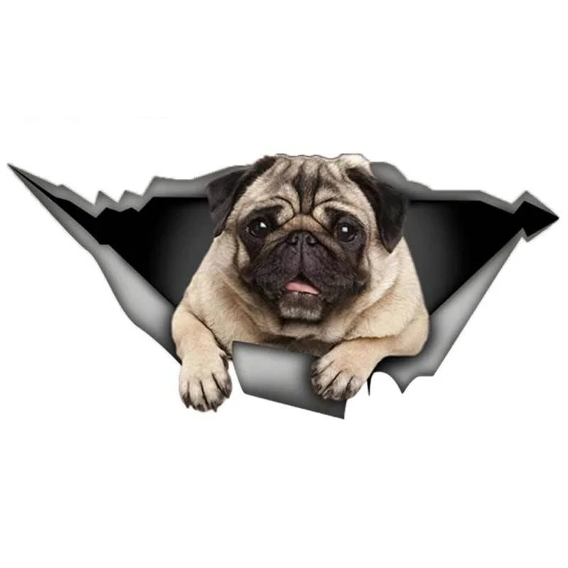 S50571#13/15/17CM Personality PVC Decal Pug Dog Car Sticker on Motorcycle Laptop Decorative Accessories