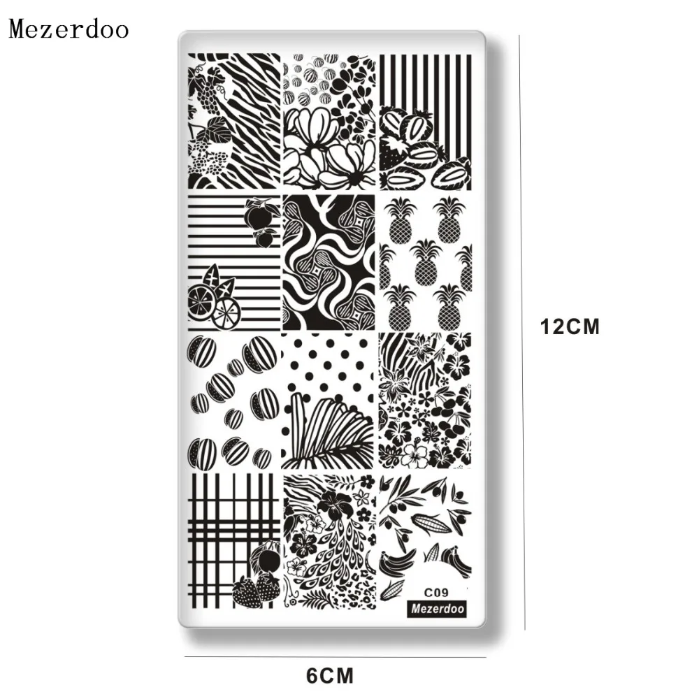 Mezerdoo Fruit Leaf Pattern Stamping Plate Rectangle Nail Art Image Plate Pineapple Geometry Flower Design Stamp Template C09