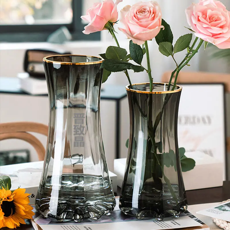 Light luxury gold-painted creative simple transparent glass vase, water-grown flowers lily Nordic living room flower arrangement