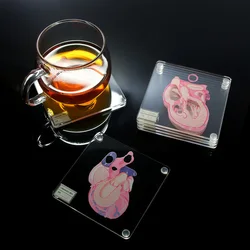 Anatomic Heart Specimen Coasters Heart Slice Anatomy Acrylic Square Coasters Beverage Cup Mat Home Bar Kitchen Decor Party Favor