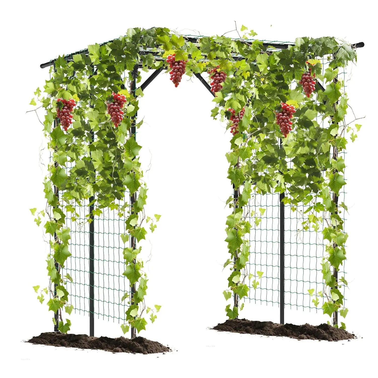 Outdoor Grape Vine Trellis for Climbing Plants, 79