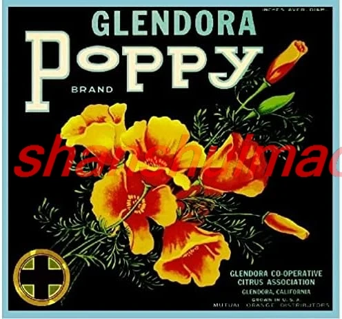 TYmall Personalized Metal Signs Glendora Poppy California Poppies Flowers Orange Citrus Fruit Crate Label Print 8X8 Inch Wa ALL