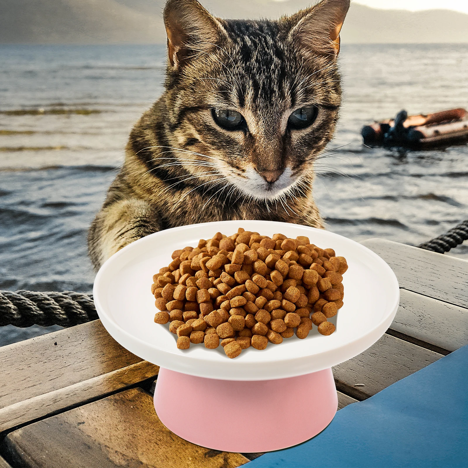

High Base Cat Bowl Ceramic Elevated Feeding Bowl Neck Protection Household Cat Food Tray Easy Wash Pet Feeder for Daily Use