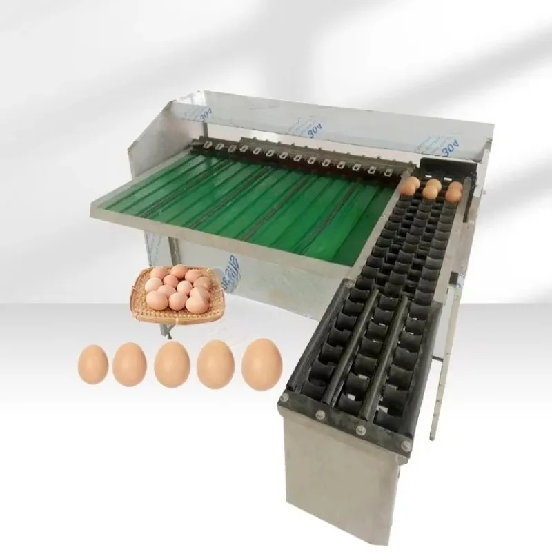 Custom Egg Grading Equipment 304SS 5400pcs/h 5-7 Grades Automatic Chicken Duck Egg Weight Sorter for Poultry Farm