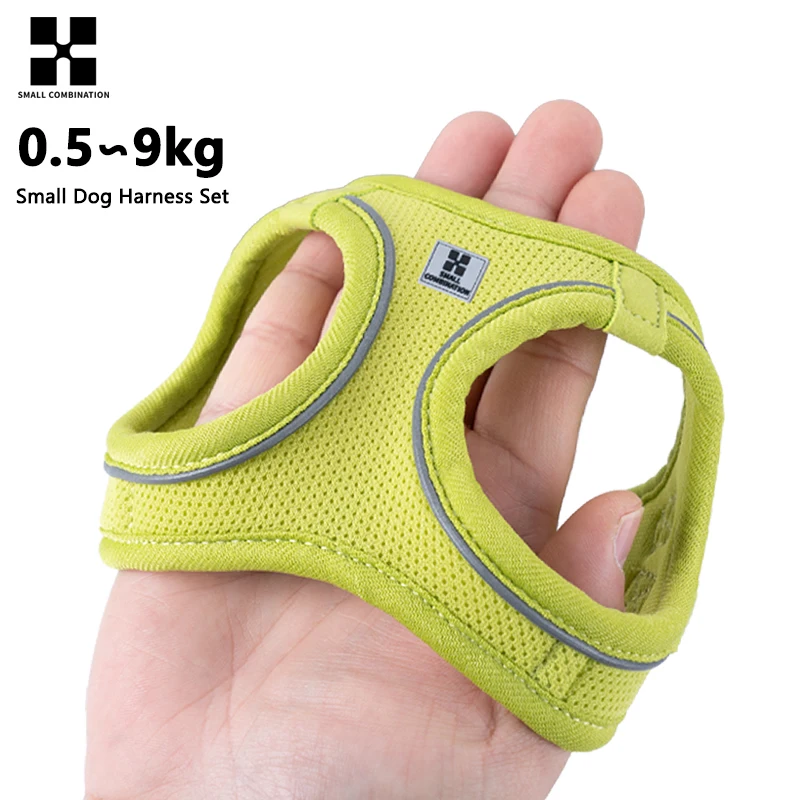 Thumbnail 2 - #73 Best Puppy Harnesses to Buy In 2026