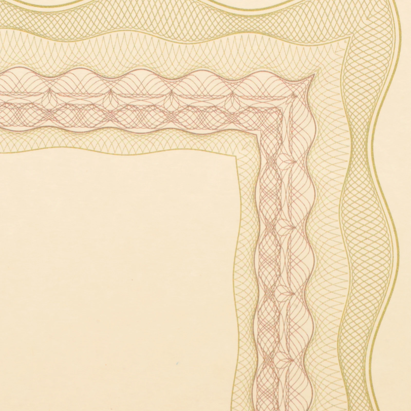 

10 шт., бумага для сертификата формата А4, пустая внутренняя бумага для печати, для выпускного сертификата чести, офисного использования, школьные принадлежности