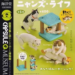 Original Japan Gashapon Kawaii Anime Figurine Cat Climbing Frame Cute Gachapon Action Figure Miniature Items Capsule Toys Gift