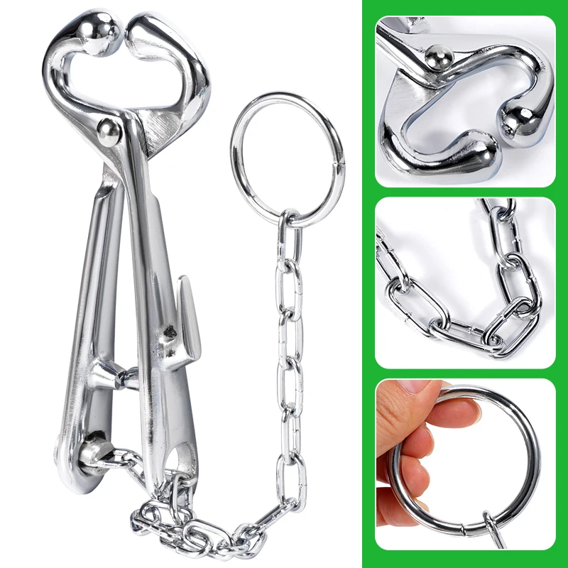 Bull Nose Pliers With Chain Stainless Steel Cattle Cow Pasture Traction Clamp Farm Traction Tool Livestock Equipment Veterinary