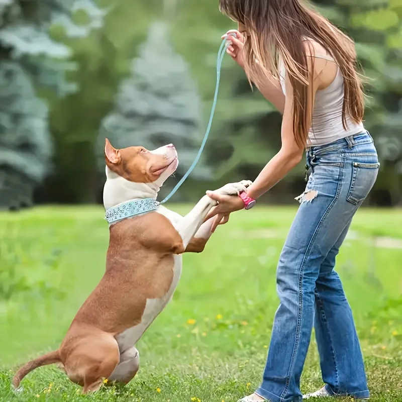 2-teiliges Set aus Nieten-Hundehalsband und Leine, Verstellbares Nieten-Kunstleder-Halsband für Outdoor-Spaziergänge – Detail 5