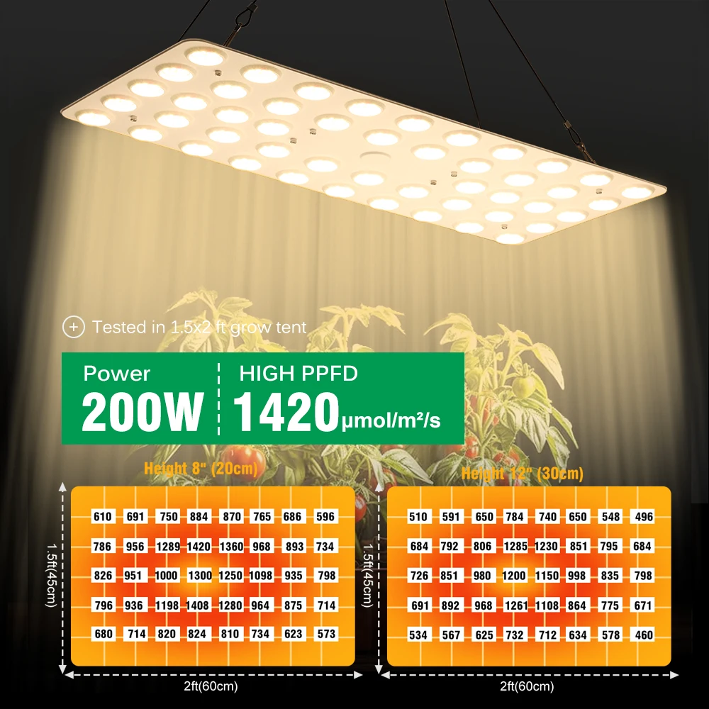 100 واط 200 واط الكم تنمو أضواء LED النمو مصباح الطيف الكامل Phytolamp للداخلية الخضار زهرة الدفيئة النباتات العصارية #3
