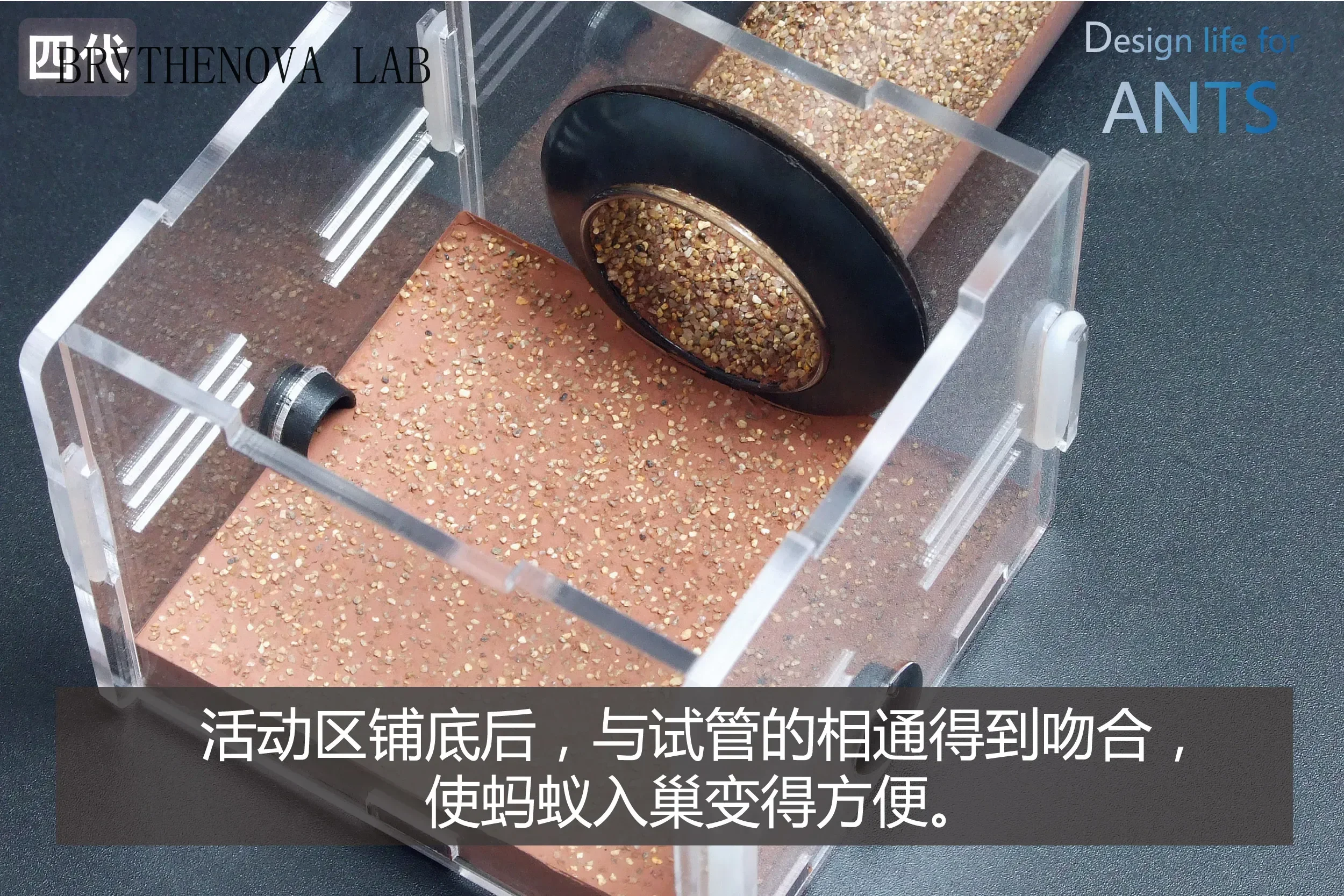Bionic Concrete Test Tube Bamboo Nest 25mm 30mm Nest Ant Workshop Pasture Ecological Villa Acrylic
