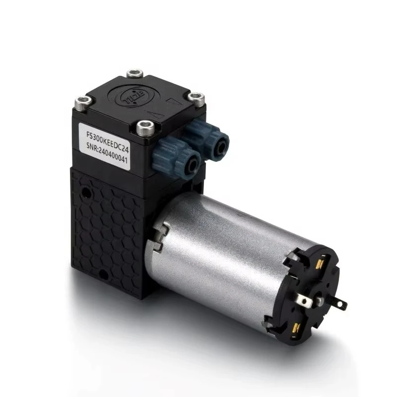 

12v/24v 300ml/min Brushed Motor Portable Micro Vacuum Diaphragm Pump Customized Liquid Water Water Pump