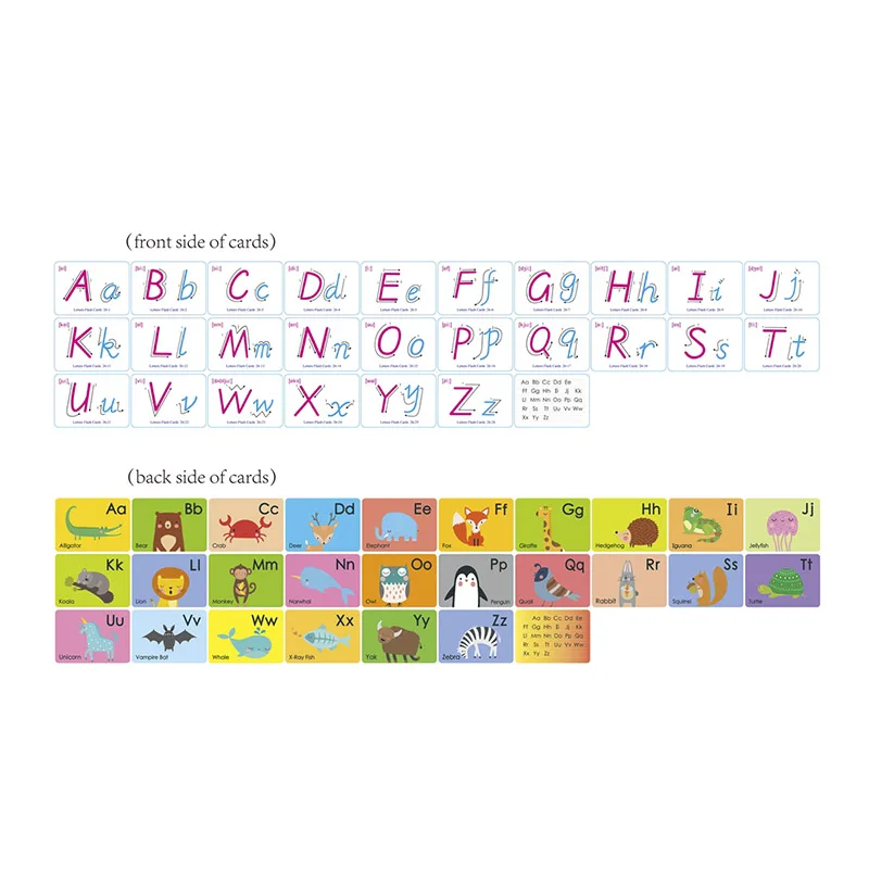 Jouets Montessori pour enfants, cartes Flash anglaises d'apprentissage précoce, jouets éducatifs pour enfants, Cognition en forme de carte de mot, jouet de couleur animale