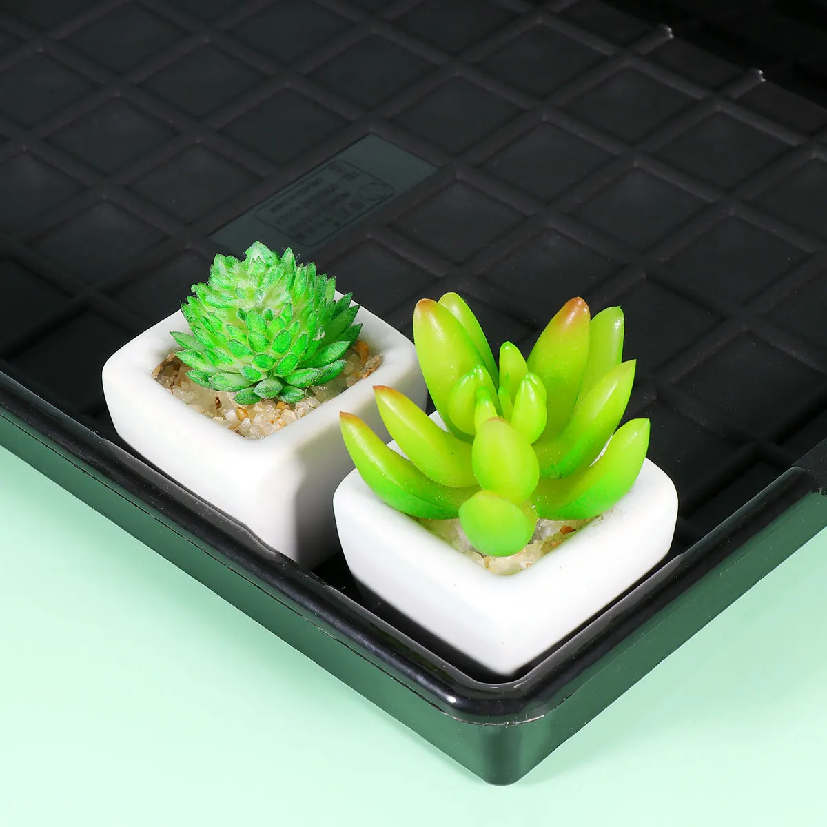 

Root Control Flower Pot Tray Black Plastic Saucer for Succulents Bonsai Plants Leak Proof Deep Slot Design Non Deformable