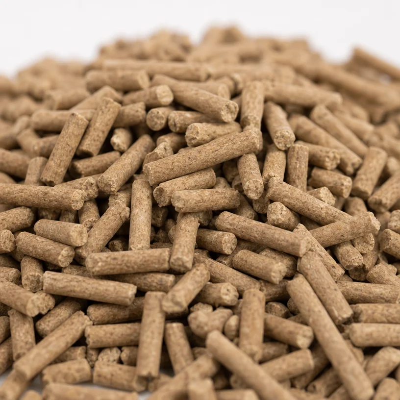 SlowDust, arena para gatos a b - Tofu Cat Litter Flushable Natural Plant reseña y precio
