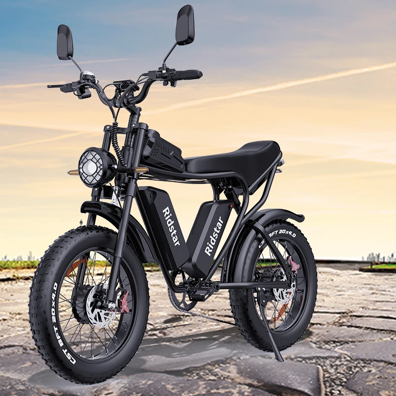 Q20 Pro 20'' 52V 40AH Fat Tire Dual Motor Electric Dirt Bike City Mountain Electric Motorcycle for Adult