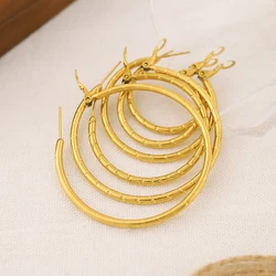 WILD & FREE Classic Minimalist 18K Gold Plated Stainless Steel Hoop Earrings for Women Charm Trendy Statement Jewelry