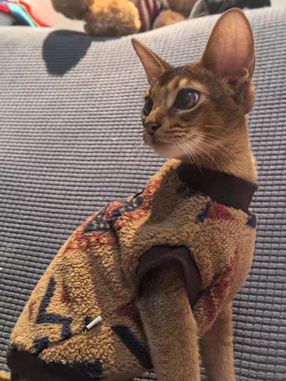 National Style Cat Puppy Sweater Autumn Winter Pet Clothes Fleece Pullover for Small Dogs Cats Kitten Sphynx Clothing Outfits