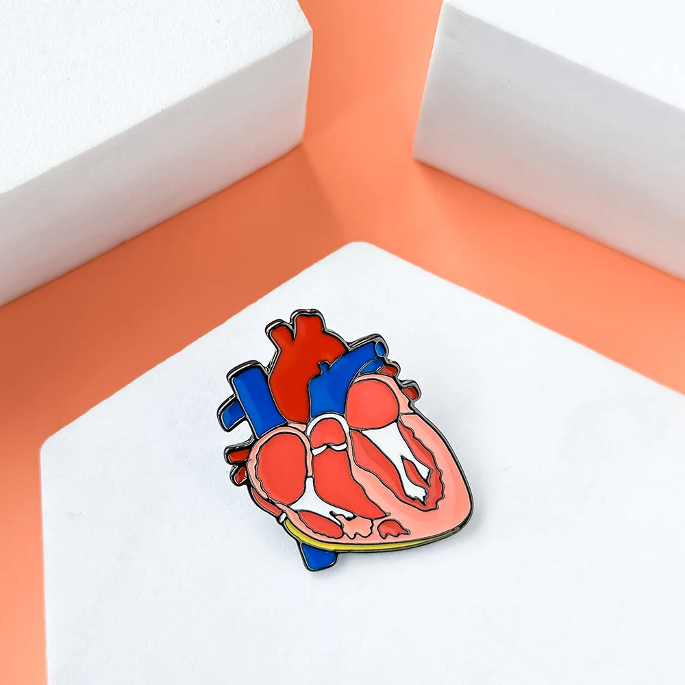 

Anatomy Heart Organ Lapel Pin Colorful Medical Cardiology Enamel Brooch Bag Badge Creative Jewelry Accessories for Doctor Nurse