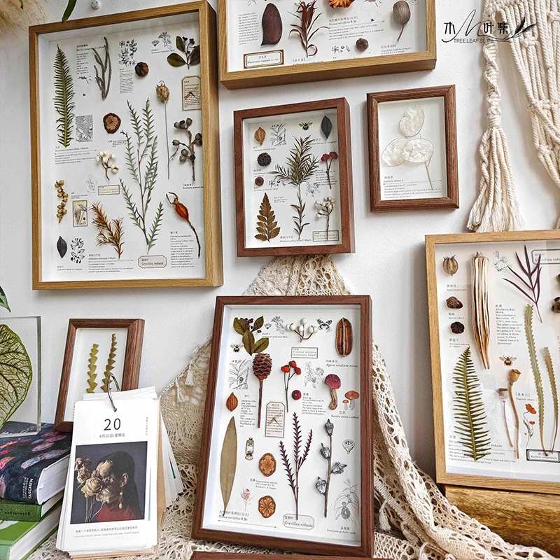 3D Photo Frame Hollow 3cm 5cm Dried Flower Specimen Holder Handmade DIY Handwork Display Picture Frame Home Decoration