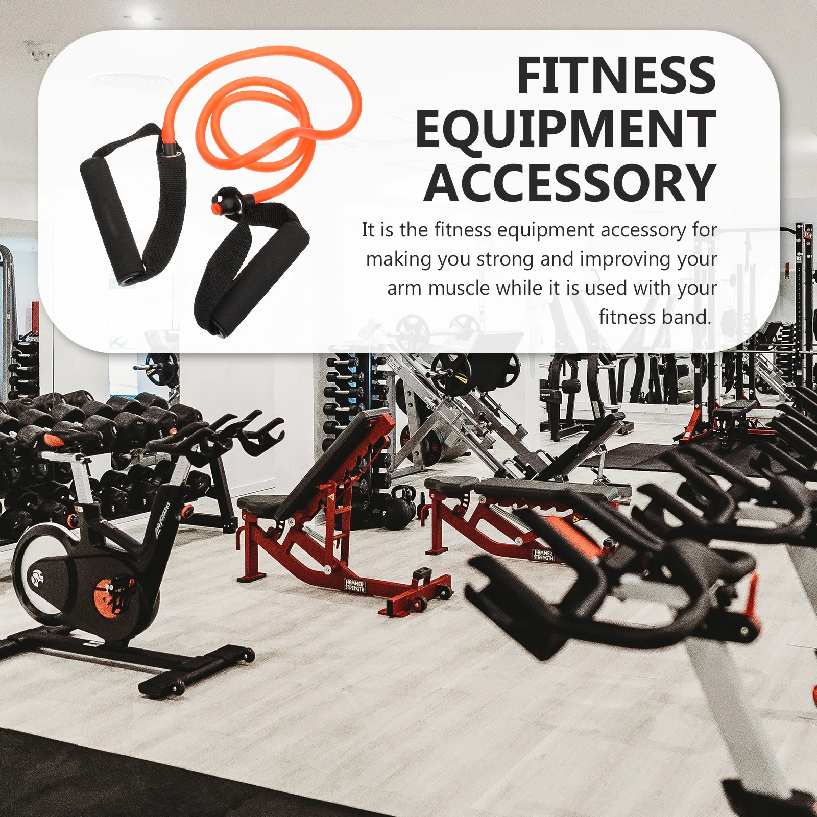 

1 Set Of Fitness Resistance Band Professional Muscle Training Rope Portable Stretch Band For Home Gym Workout Pulling Strap