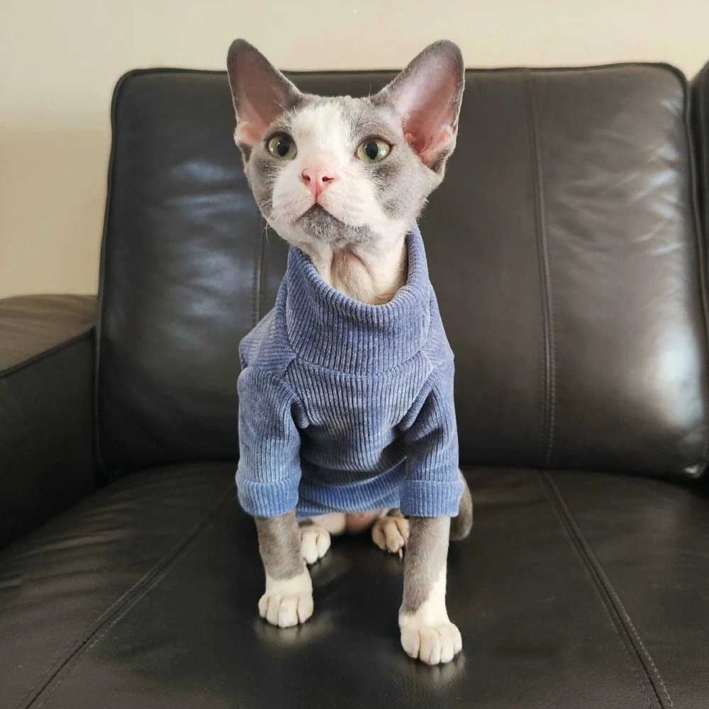 

Сине-красное зимнее пальто для кошек спайнкса, мягкий теплый флисовый вязаный свитер с высоким воротником для Devon Rex, толстовка с длинными рукавами для котят