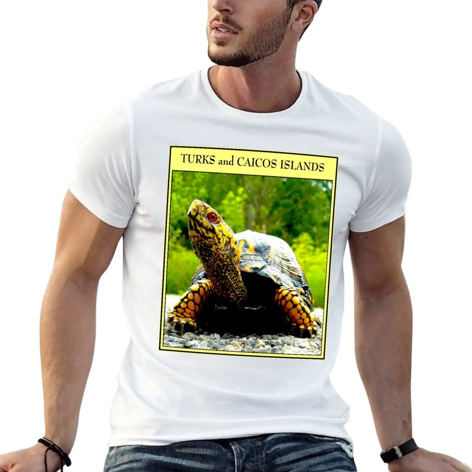 T-shirt imprimé avec publicité touristique et de voyage TURKS and CAICOS, t-shirts amusants, humorisme noir, t-shirt graphique pour homme