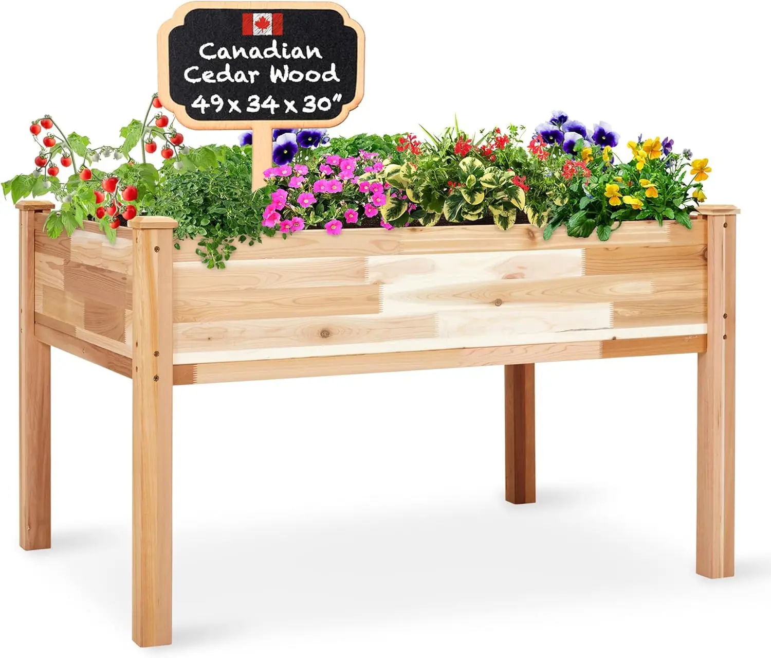 Canadian Cedar Garden Bed | Elevated Wood Planter for Growing Fresh Herbs, Vegetables, Flowers, Succulents