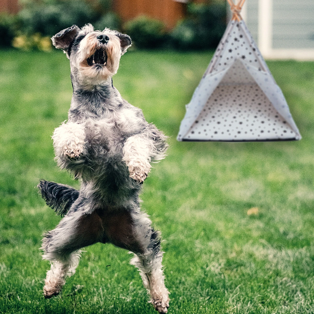 

Sturdy Pet Tent for Cats Dogs Portable House Small Animals Kennel Wood Frame Breathable Washable Cage Comfortable Outdoor Indoor