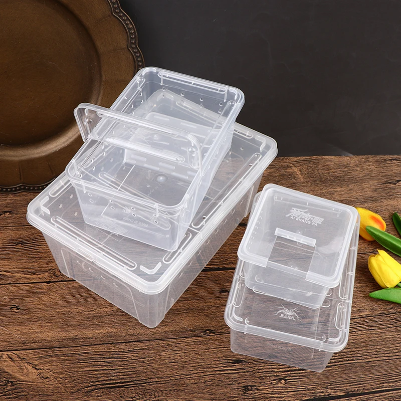 1PCS Vivarium Lid Reptile Pet Product Reptile Tank Insect Spiders Tortoise Lizard Acrylic Transparent Breeding Box