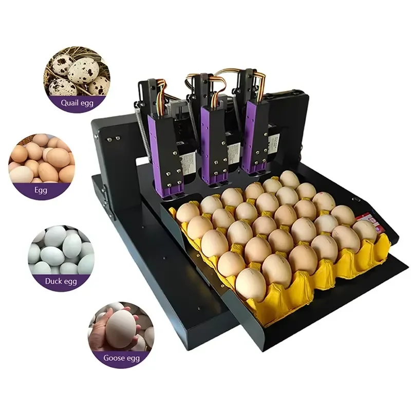 Automatic Eggshell Printer with 3 Synchronized Heads for Date Expiry Code Marking Machine for Food Safety Traceability FDA