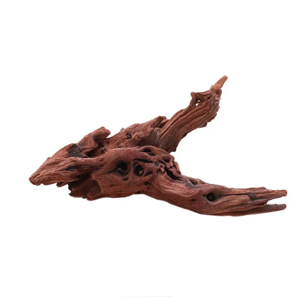 

Creative Irregular Shape Coral Wood Natural Wood Driftwood Trunk Aquatic Plants for Aquarium