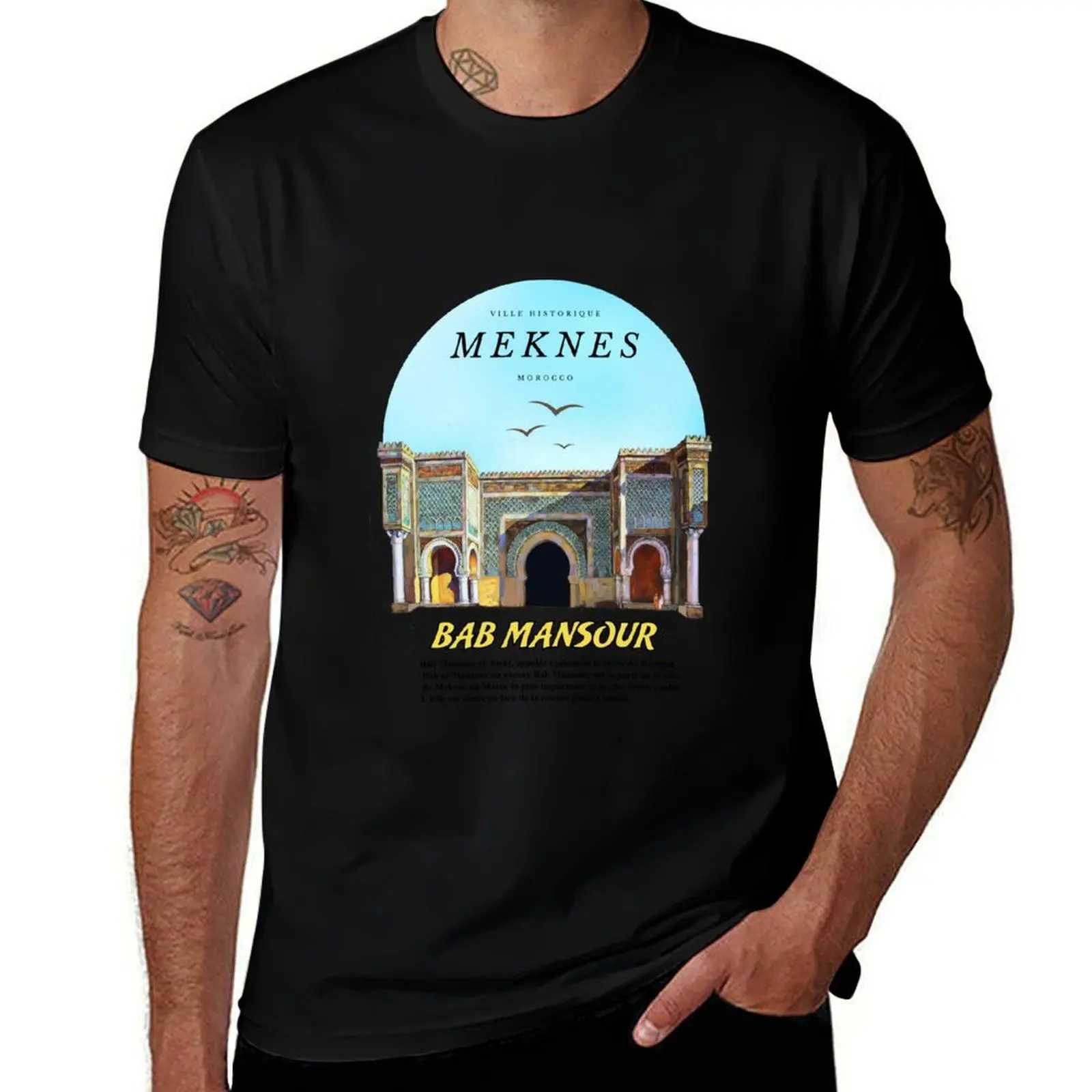 

Meknes, historic city in central Morocco T-Shirt quick-drying anime stuff customs mens vintage t shirts