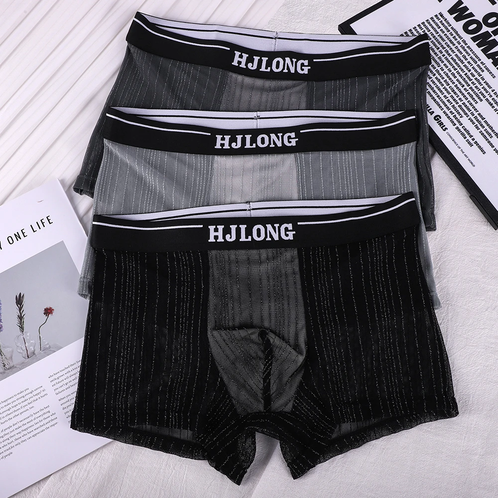 

1/3 PCS Sexy Translucent Solid Striped Underwear Arrival Breathable Mesh Cool Men's Panties High Elastic Waistband Boxers Hombre
