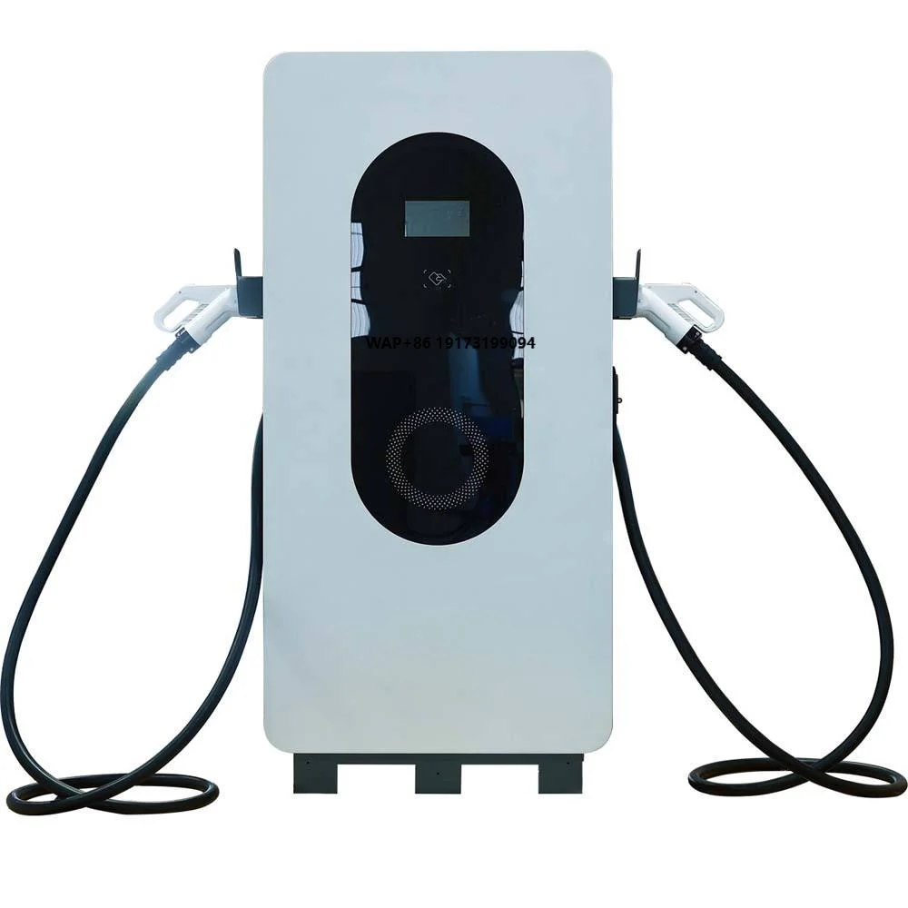 High Quality New Energy Vehicles 60kW 80kW DC Fast Charging Pile EV Charging Station with GB Interface 380V Input White