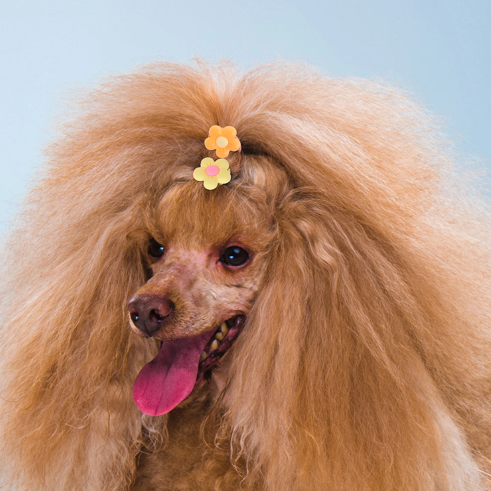 

10pcs Dog Hair Bands Elastic Ponytail Holder Cartoon Hair Ties Longhaired Dog Bows Pet Accessories Durable Comfortable Multiple