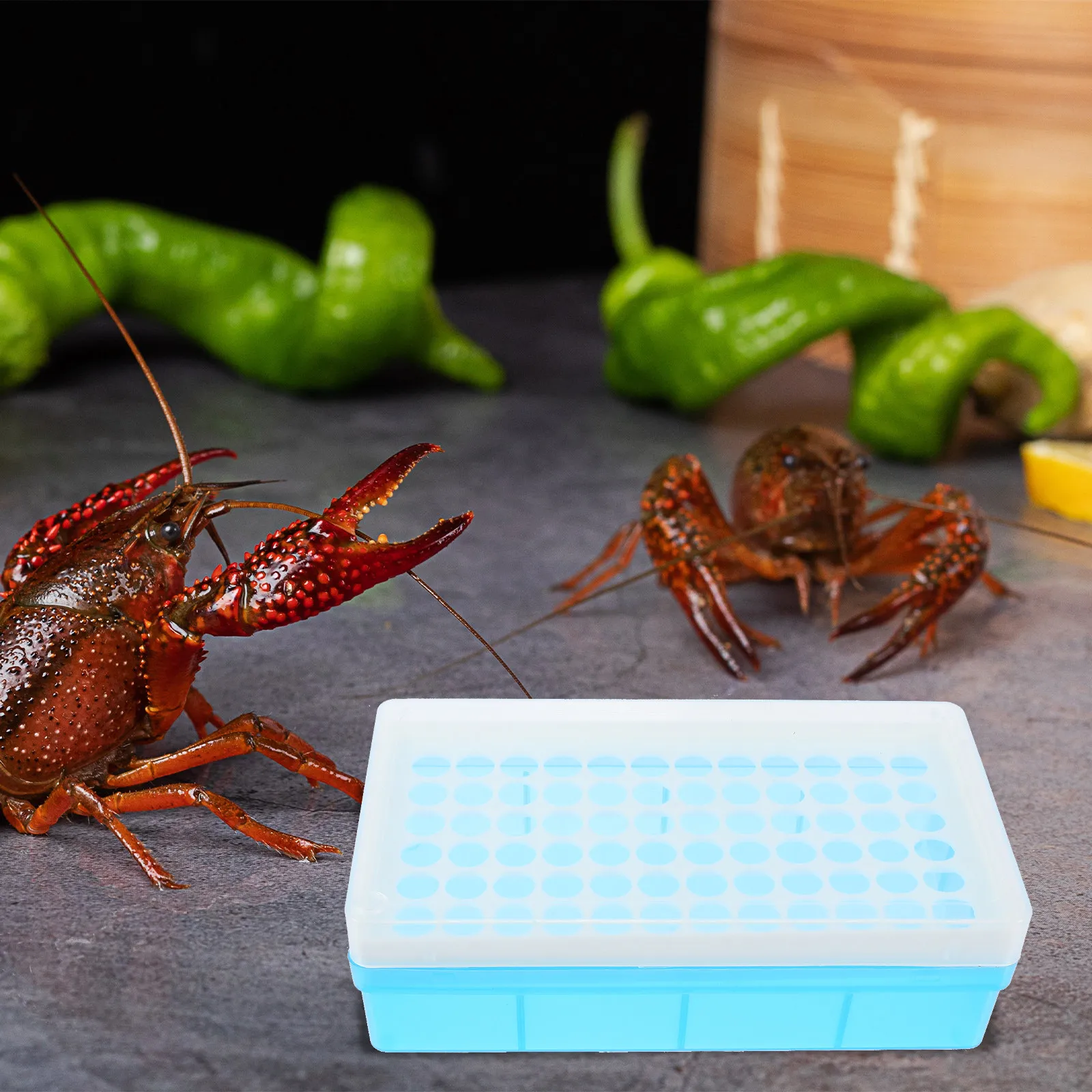 1세트 브라인 슈림프 부화기 도구 수집 상자 플라스틱 - Aquarium Fish Eggs 리뷰 및 가격
