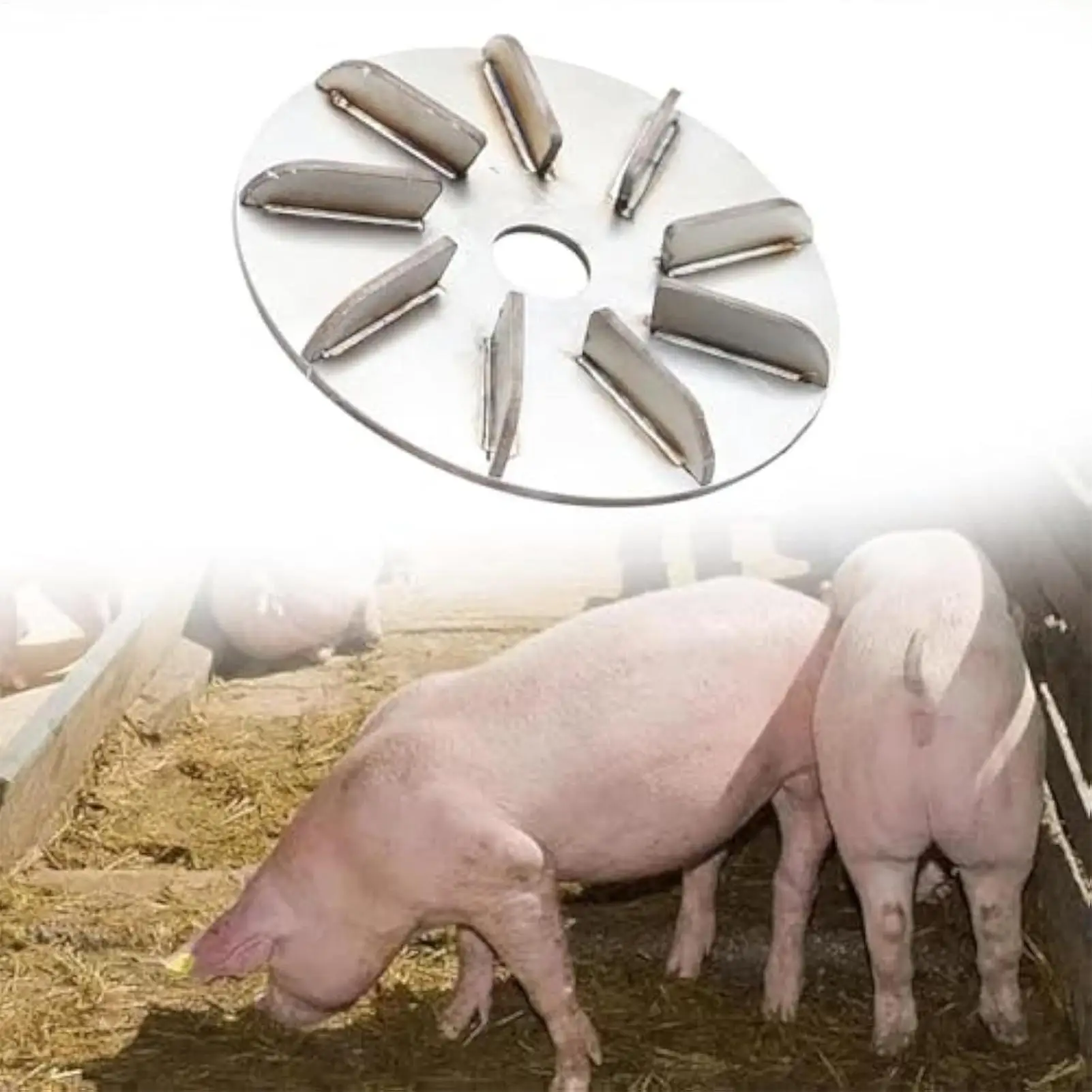 Hair Removal Disc L…