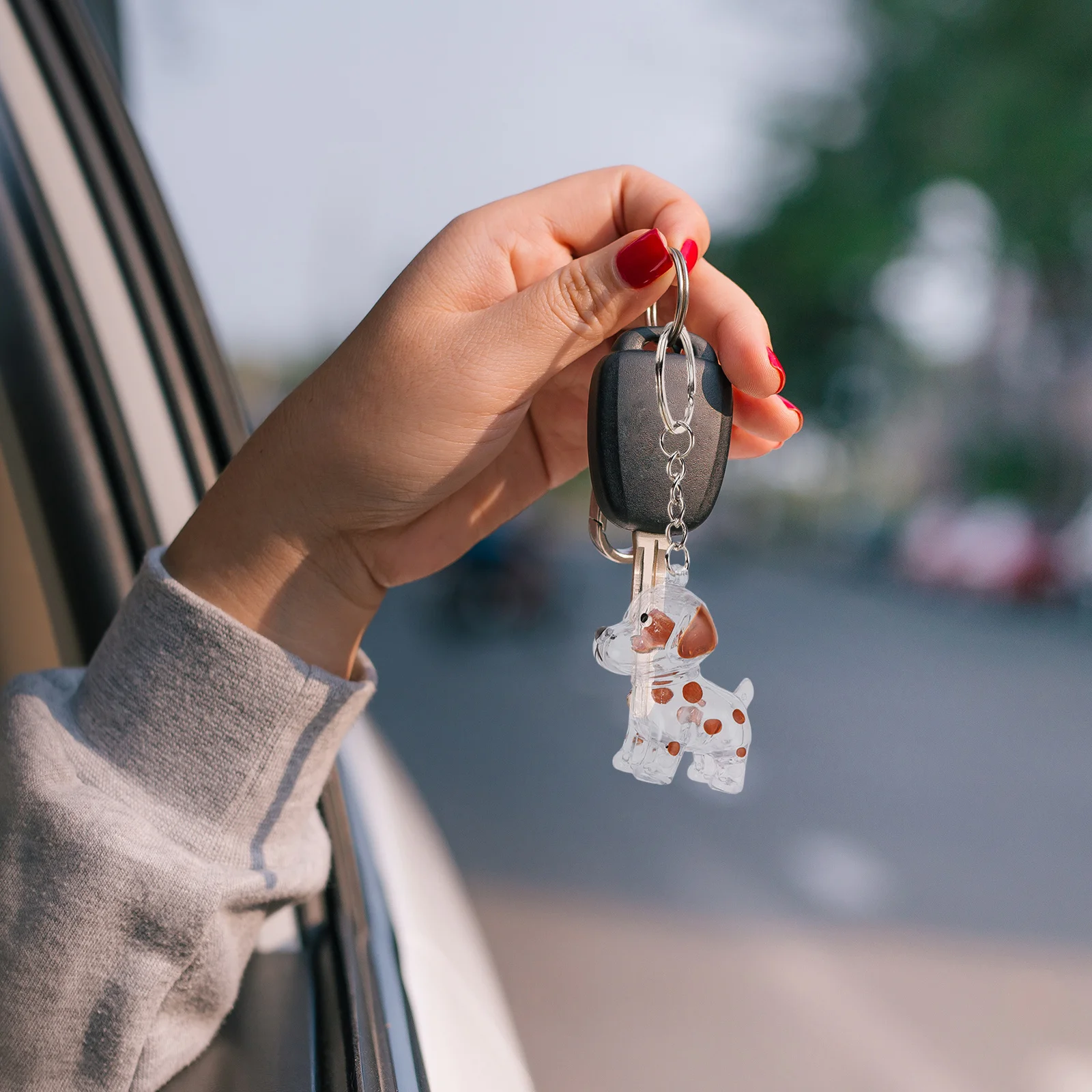 

6Pcs Pet Hair Storage Box Transparent Cute Puppy Design Memorial Keepsake Organizer Dog Hair Collector Souvenir Keychain Charm