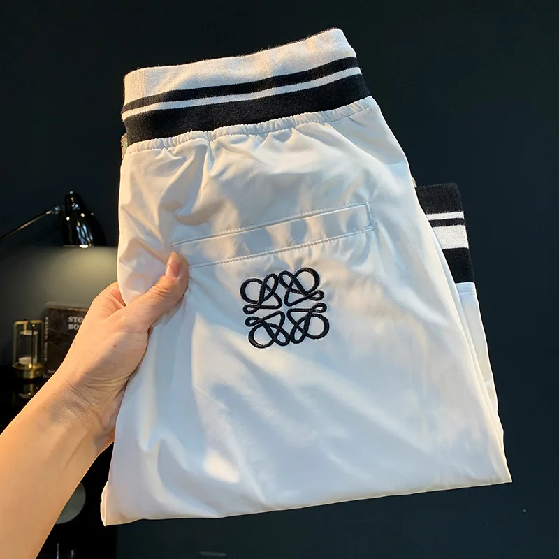 2025 summer new light luxury shorts men's straight leg loose and fashionable embroidered printed quick drying casual beach pants